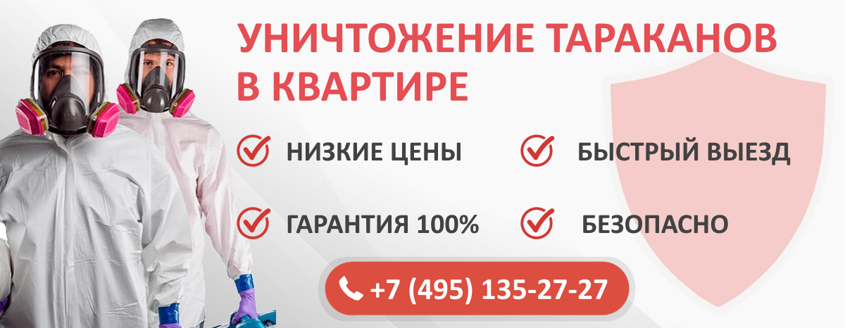 Как правильно называется обработка от тараканов советы эксперта